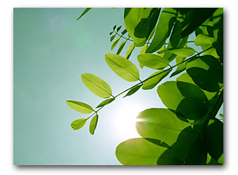 摂食障害過食症